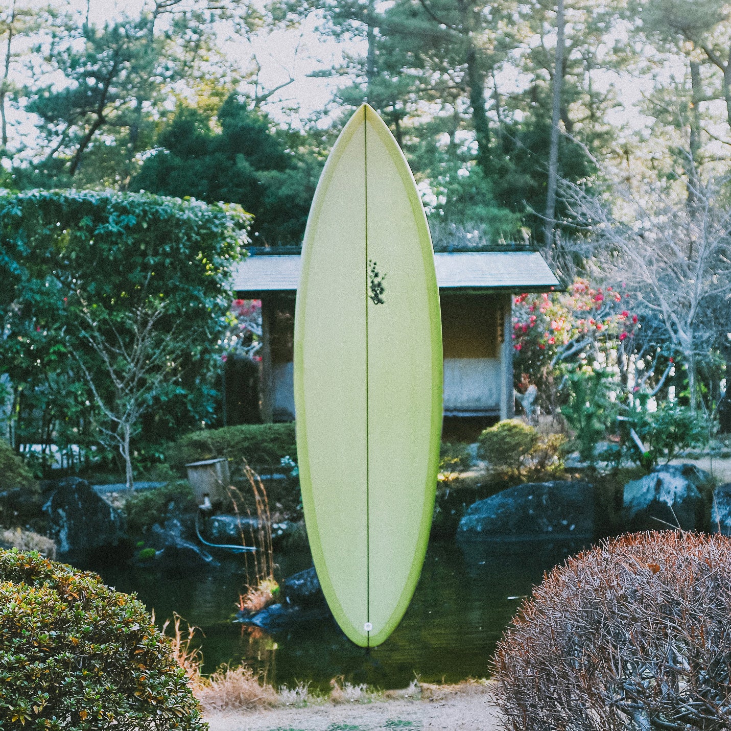 松柏
